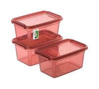 PAFEN 3x Boîte de rangement avec couvercle 3l - 29x19,5x14cm - Boîtes Rangement Boîtes empilables avec clips de fermeture Boîtes en plastique Boîtes à vêtements Transparent Organizer | Rose