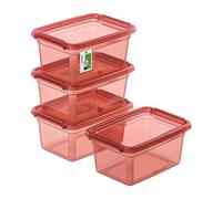 PAFEN 4x Boîte de rangement avec couvercle 1,5l - 19,5x14x9,5cm - Boîtes Rangement Boîtes empilables avec clips de fermeture Boîtes en plastique Boîtes à vêtements Transparent Organizer | Rose