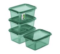 PAFEN 4x Boîte de rangement avec couvercle 1,5l - 19,5x14x9,5cm - Boîtes Rangement Boîtes empilables avec clips de fermeture Boîtes en plastique Boîtes à vêtements Transparent Organizer | Vert