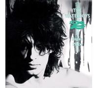 Pagan Place by The Waterboys [VINYL] NEUF
