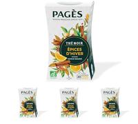 Pagès - Thé noir BIO Épices d'Hiver Saveur Orange - Boîte de 20 Sachets, 100% Végétal (Lot de 4)