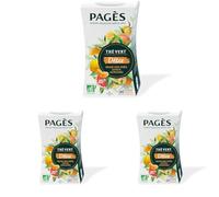 Pagès - Thé Vert BIO Détox - Reine des Prés, Saveur Agrumes - Élimination - Boîte de 20 Sachets, 100% Végétal (Lot de 3)