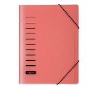 Pagna 40056-01 Trieur en plastique avec 6 onglets colorés et élastiques (Rouge) (Import Allemagne)
