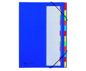 Pagna 44133-02 Trieur 12 onglets colorés avec dos souple et fermeture par élastiques (Bleu) (Import Allemagne)