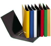 PAGNA Classeur à anneaux Basic Colours DIN A4 2 anneaux vert