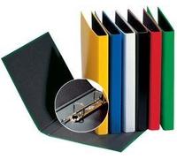 PAGNA Classeur Basic Colours A4 Vert - mécanisme 2 anneaux au coin 20 mm - serre-flan intr G