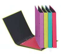 Pagna Classeur A4 Trend - Mécanisme à 2 Anneaux avec Support - Violet