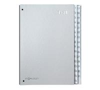 PAGNA classeur Pult Color, format A4, 1 -31, 31compartiments G