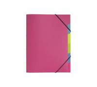 Pagna Funky School Trieur 5 Compartiments 5 Positions 2 Mm A4 ? Onglets Rose Fonc?