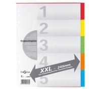 PAGNA Intercalaire en carton DIN A4 5 pièces extra-large 5 couleurs