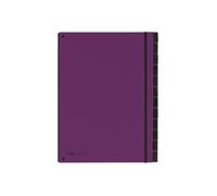 Pagna Office Trend Trieur 12 Compartiments 12 Positions 20 Mm A4 À Onglets Violet
