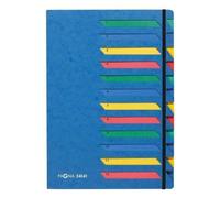Pagna Ordnungsmappe Deskorganizer 1-12, 12 Fcher, Blau