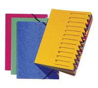 PAGNA P2413102 Trieur bleu DIN A4 carton aggloméré Nombre de compartiments: 12