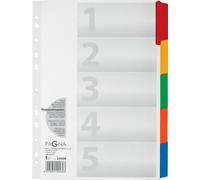 PAGNA Répertoire A4 5pcs. Tabe 5 couleurs blanc