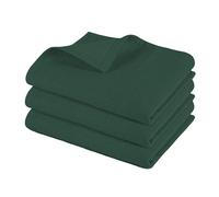 Pagnanno. - Torchons de Cuisine de qualité hôtelière et torchons tissés gaufrés | Coton Professionnel 45 x 70 cm | Torchons absorbants à séchage Rapide, torchons de Cuisine et de Bar (Lot de 3 (45 x