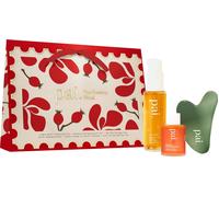 Pai Skincare The Rosehip Routine - 1 kit