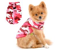 PAIDEFUL Vêtements pour petits chiens, garçons et filles, gilet avec anneau en D, harnais pour chiot, manteau rembourré résistant à l'eau pour chihuahua, yorkshire
