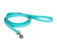 PAIKKA Lueur Laisse Eau - Fluorescent Laisse pour Chien, Sûr & Entretenir Facile