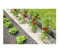 Paillage naturel biodégradable largeur 50 cm longueur 300 cm