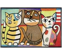 Paillasson 50x75 tissé motif animaux TREFFEN multicolore