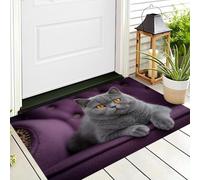 Paillasson à Chat Mignon Animal De Compagnie lavable, à poils courts, British Shorthair Bleu, Gris Violet, 50x80cm, pliable, antidérapant, pour porte d'entrée, patio, couloir, chambre à coucher