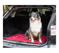 Paillasson Absorbant - DIRTY DOG - Dirty Dog Doormat - Gris - Antidérapant - Microfibre