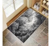 Paillasson Abstraction 3D Spirale, paillasson écoratif de 50 x 80 cm, Tapis de extérieur antidérapant, Tapis 'entrée Lavable,Blanc grisâtre