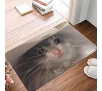 Paillasson antidérapant avec Motif de Chat Qui pleure Tapis de Sol Anti-Usure pour Cuisine entrée Maison Balcon