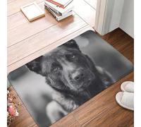 Paillasson antidérapant avec Photo de Chien de Berger Belge Malinois Noir et Blanc Tapis de Sol pour Cuisine entrée Maison
