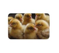 Paillasson antidérapant pour intérieur et extérieur - Motif petits poulets - Pour entrée, porche, buanderie, salle de bain, chambre à coucher - 50,8 x 80 cm