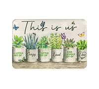 Paillasson Antidérapant Tapis De Porte Succulente C'est Nous Un Peu De Folie Anti-Saleté Tapi De Douche pour Intérieur Chambre Terrasse 40X60Cm