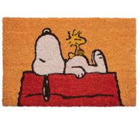 PAILLASSON ARACHIDES SNOOPY CARTOON - GADGET