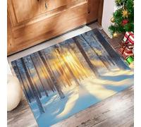 Paillasson Attrape-Poussière, Jungle Ensoleillée Tapis De Sol Antidérapant Lavable en Machine, Scène Neige d'hiver Tapis D'Entrée Doux Confortable pour Chien, Entrée, Couleurs Mélangées 50 X 80 Cm