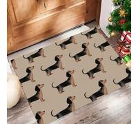 Paillasson Attrape-Poussière, Teckel Dessin Animé Tapis De Sol Antidérapant Lavable en Machine, Illustration Animaux Tapis D'Entrée Doux Confortable pour Chien, Entrée, Marron Clair 60 X 90 Cm