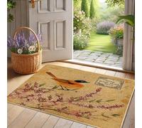 Paillasson avec motif oiseau de printemps, rouge-gorge, pour entrée intérieure et extérieure, décoration vintage, imperméable, antidérapant, absorbeur de poussière, facile à nettoyer, 71 x 40 cm