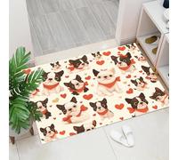 Paillasson Chiot Boston Terrier - 40 x 60 cm - avec Dos en TRP antidérapant - Tapis d'entrée - Animal - Lavable - pour l'intérieur et l'extérieur - Rouge