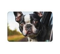 Paillasson Chiot Boston Terrier, Antidérapant Tapi Salle De Bain Facile À Nettoyer Tapis De Bain 40X60Cm pour Entrée Déco Intérieur
