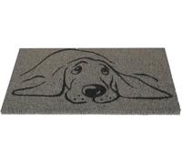 Paillasson coco - gris - 25x50cm chien
