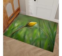 Paillasson de Bienvenue à Profil Bas antidérapant Lavable - Jaune-Vert Illustrations de Plantes Gros Plan sur des Boutons Floraux- Tapis de Sol pour intérieur et extérieur - 45x75cm