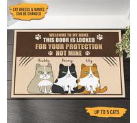 Paillasson De Bienvenue Absorbant Paillasson D'Entree Facile À Nettoyer Tapis De Bain pour Bain D'Entrée Salon 40X60Cm Cette Porte Est Verrouillée pour Votre Protection, Chat.