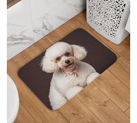 Paillasson de bienvenue avec motif caniche français, antidérapant, absorbant, doux, lavable, tapis moderne pour décoration élégante de cuisine, chambre à coucher, salle de bain, 40,6 x 61 cm