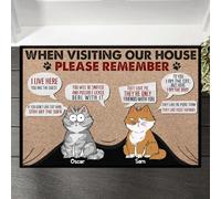 Paillasson De Bienvenue Doux Tapis De Bain Antidérapant Tapis De Porte pour D'Entrée Intérieur Salon 40X60Cm Lors De Ma Visite chez Mon Chat