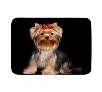Paillasson De Bienvenue Yorkshire Terrier Isolé sur Fond Noir 40X60Cm Tapis De Sol Antidérapant Lavable Machine Doux Paillasson D'Entree pour D'Entrée Salon