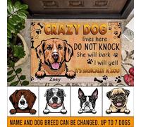 Paillasson D'Entree Doux Paillasson De Bienvenue Facile À Nettoyer Tapis De Bain pour Intérieur Salon D'Entrée 40X60Cm C'est en Gros Un Zoo avec des Chiens Fous.