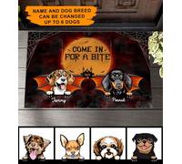 Paillasson D'Entree Facile À Nettoyer Tapis De Bain Doux Tapis De Porte pour D'Entrée Salon Terrasse 40X60Cm Venez Prendre Un Petit Chien