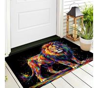 paillasson Dessin Animé Animal, Arc en Ciel Lion, TPR caoutchouté, Robuste, antidérapant, imperméable, pour Toutes Saisons, pour Patio, entrée, Porche, 50x80cm