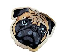 Paillasson d'extérieur pour Chien - de Bain Robuste en Fibre de Coco, de Bienvenue antidérapant, d'entrée Absorbant | de Porte imprimé Patte d'animal de Compagnie, pour intérie