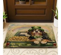 Paillasson d'extérieur ultra fin pour la Saint-Patrick avec motif chien de Saint-Bernard, 73,5 x 43,2 cm, petit imprimé chaussures arc-en-ciel pour terrasse