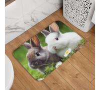 Paillasson d'intérieur avec deux petits lapins mignons - Tapis de bienvenue antidérapant lavable - 40,6 x 61 cm - Super absorbant