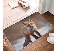 Paillasson d'intérieur lavable avec motif renard mignon - Tapis de bienvenue antidérapant pour entrée de maison, entrée extérieure, cour - 60 x 40 cm
